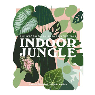 The Leaf Supply Guide to Creating Your Indoor Jungle